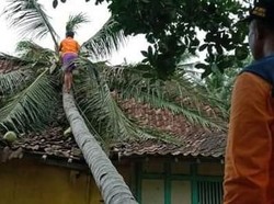 Dampak Angin Kencang di DIY: Rumah dan Jaringan Listrik Rusak