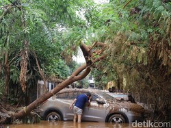 Mobil Terseret Arus Banjir, Pemilik Perlu Waspadai Gangguan Jiwa