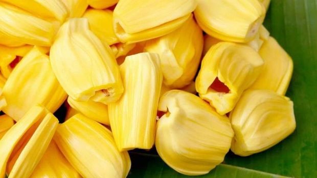 Nangka