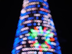 Bayang-bayang Pohon Natal