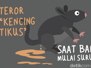 Belum Ada Temuan Kasus di Surabaya, Ini Upaya Pemkot Cegah Leptospirosis Belum Ada Temuan Kasus di Surabaya, Ini Upaya Pemkot Cegah Leptospirosis