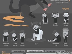 Mengenal Leptospirosis, 6 Gejala dan 3 Cara Pencegahannya