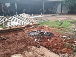 Seekor Kuda Mati Saat Dibawa Kusir Terobos Banjir di Tangsel