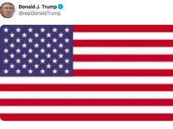 Habisi Jenderal Iran, Trump Kibarkan Bendera AS di Twitter