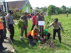 2.000 Pohon Ditanam di Lokasi Rawan Banjir Bojonegoro