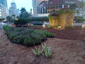 Membandingkan Instalasi Gabion Sebelum Dibongkar dan Usai Dipasang Lagi