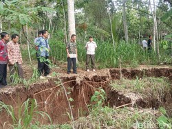 Diterjang Hujan Deras, Tanah di Pacitan Amblas