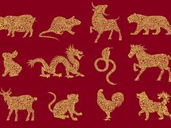 Ramalan Shio 2020: Ini 3 Shio yang Akan Beruntung dan Bersinar