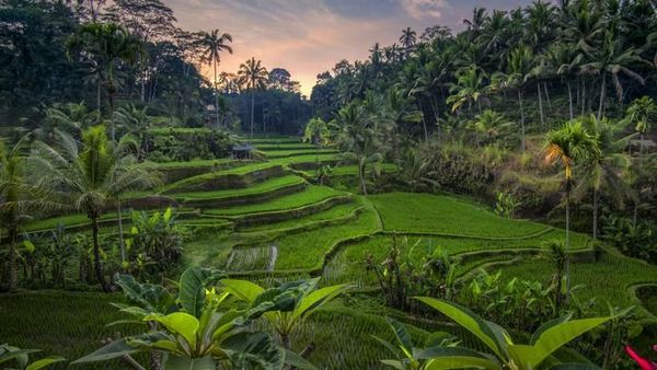 Foto: Bali & 9 Destinasi Paling Instagramable Tahun 2020