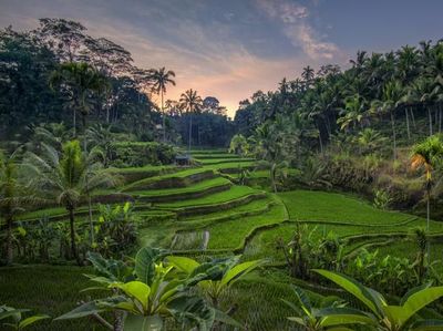 Foto: Bali & 9 Destinasi Paling Instagramable Tahun 2020
