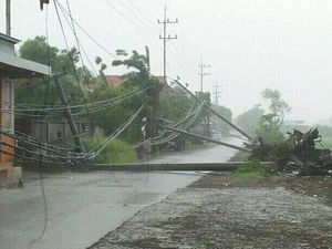 41 Tiang Listrik di Sidoarjo Roboh Tersapu Angin Kencang