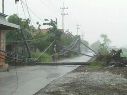 41 Tiang Listrik di Sidoarjo Roboh Tersapu Angin Kencang