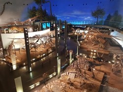 Ini Penampakan Museum Dinosaurus Keren di Jepang