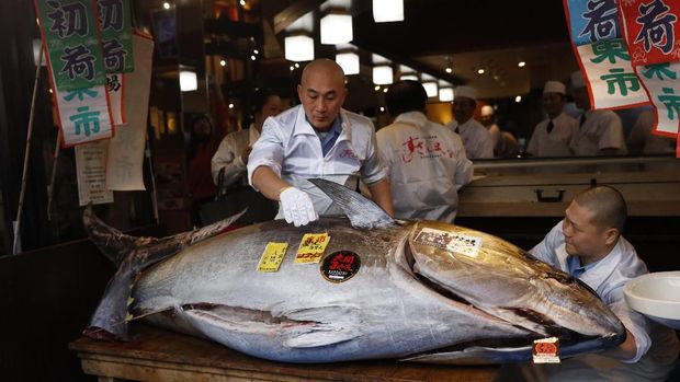 A sushi chef holds up the head of a bluefin tuna at a restaurant in Tsukji market area in Tokyo, Sunday, Jan. 5, 2020, after it was sold at the first auction of 2020 at Tokyo's Toyosu fish market. The tuna was sold 193.2 million yen (1.8 million US dollars) Sunday.(AP Photo/Jae C. Hong)