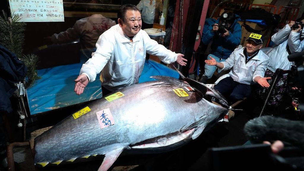Super! Pengusaha Ini Bawa Pulang Ikan Tuna Seharga Rp 24 M