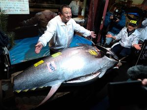 Super! Pengusaha Ini Bawa Pulang Ikan Tuna Seharga Rp 24 M Super! Pengusaha Ini Bawa Pulang Ikan Tuna Seharga Rp 24 M