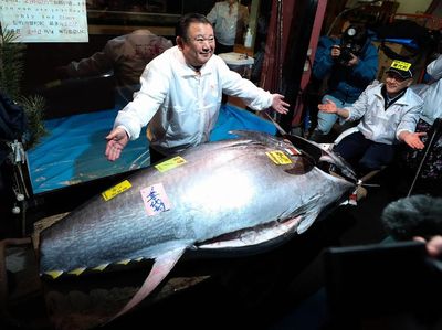 Super! Pengusaha Ini Bawa Pulang Ikan Tuna Seharga Rp 24 M