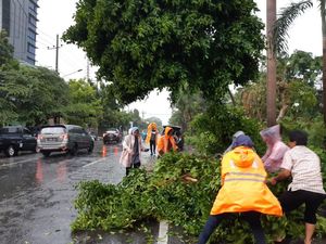 Banyak Pohon Tumbang, Risma Turun ke Lapangan Bantu Evakuasi