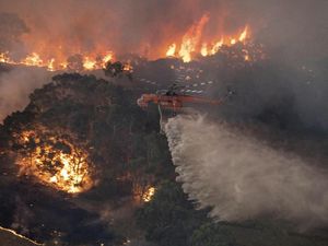 Kebakaran Hutan di Victoria Australia, 2.000 Warga Mengungsi