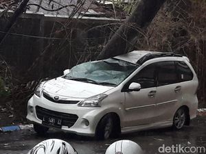 Pohon Tumbang Timpa Mobil Saat Hujan Disertai Angin Kencang di Surabaya
