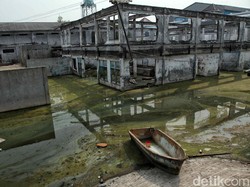 Pemprov DKI Sebut 7 Wilayah Jakut Berpotensi Terkena Banjir Rob