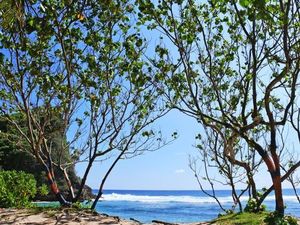 Sudah Tahu? Ini Pantai Cantik di Kota Malang