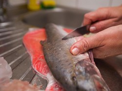 Ini Penyebab RI Masih Impor Ikan dari China