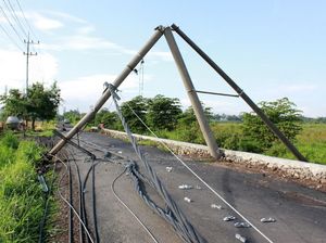Puluhan Tiang Listrik Roboh Dihantam Angin Kencang di Sidoarjo