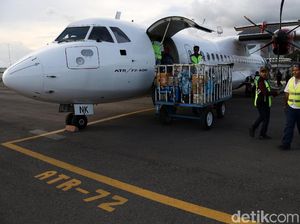 Maskapai TransNusa Stop Operasi