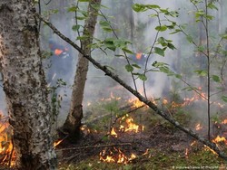Rusia Berencana Mengambil Keuntungan dari Perubahan Iklim