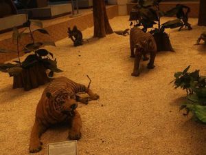 Yuk, Intip Museum Bertema Hutan