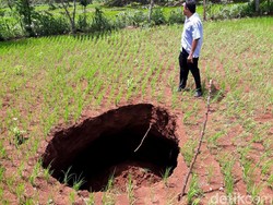 Melihat Lebih Dekat Lubang Menganga yang Tetiba Muncul di Gunungkidul