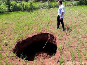 Melihat Lebih Dekat Lubang Menganga yang Tetiba Muncul di Gunungkidul Melihat Lebih Dekat Lubang Menganga yang Tetiba Muncul di Gunungkidul