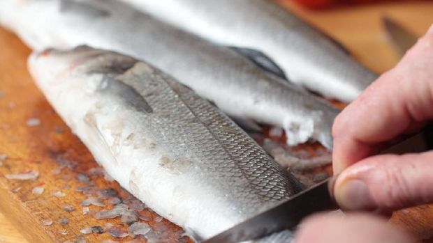 Tips Bersihkan Sisik Ikan Tanpa Berantakan