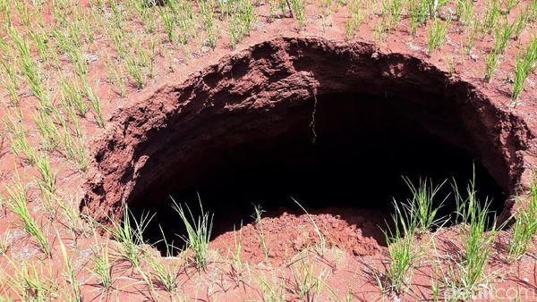 Lubang Misterius Muncul di Gunungkidul Pascahujan Deras
