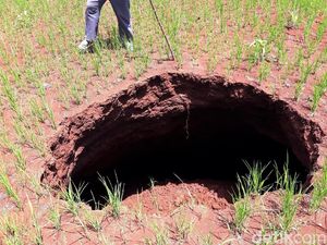 Lubang Misterius Muncul di Gunungkidul Pascahujan Deras