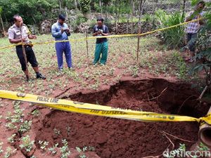 Video Lubang Besar Kembali Muncul di Tengah Sawah Gunungkidul Video Lubang Besar Kembali Muncul di Tengah Sawah Gunungkidul