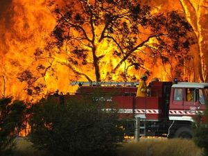 Kebakaran Hutan di Australia Tembus 18.500 Hektare, Ancam Ibu Kota Kebakaran Hutan di Australia Tembus 18.500 Hektare, Ancam Ibu Kota