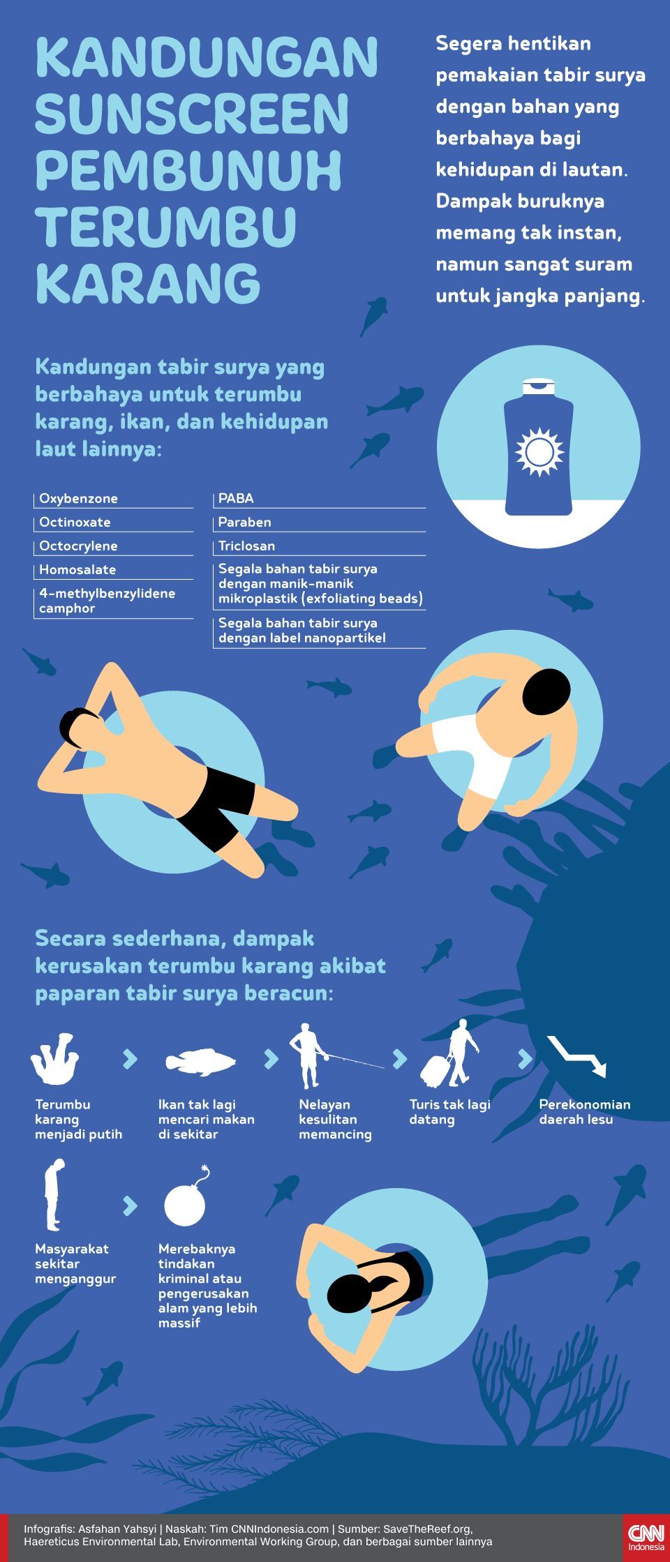 Infografis Kandungan Sunscreen Pembunuh Terumbu Karang