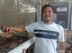 Budidaya Maggot Bagi Warga Banyuwangi Jalan Keluar dari Permasalahan Sampah