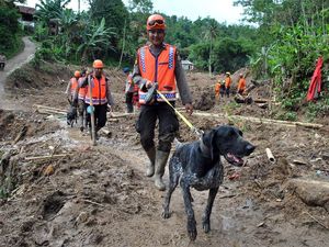 Korban Longsor di Sukajaya Belum Ditemukan Korban Longsor di Sukajaya Belum Ditemukan