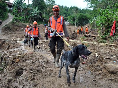 Korban Longsor di Sukajaya Belum Ditemukan