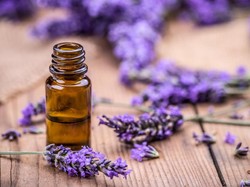 3 Bahan Alami untuk Hilangkan Bau Apek di Dalam Ruangan, Ampuh!