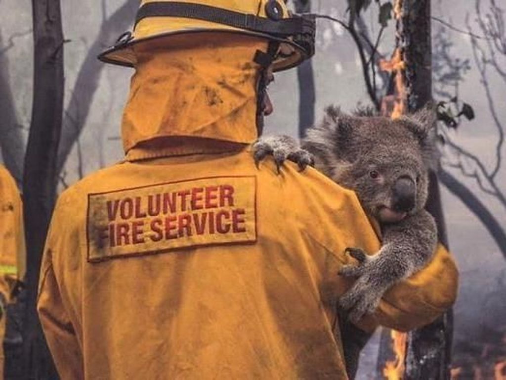 Potret Viral Kebakaran Australia yang Ngeri dan Mengharukan