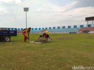Jeda Kompetisi, Kandang Persela Lamongan Dibenahi Jeda Kompetisi, Kandang Persela Lamongan Dibenahi