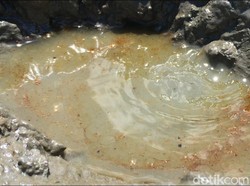 Sawah yang Keluarkan Air Asin Pernah Dibor untuk Mencari Sumber Minyak