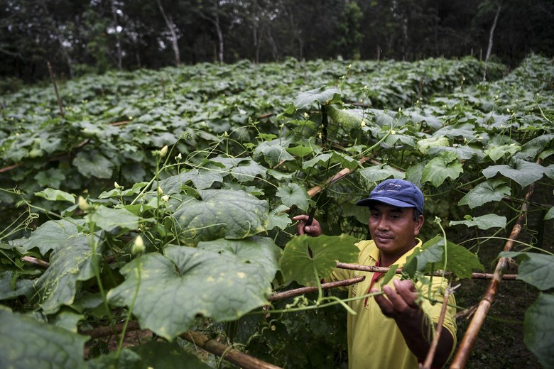 Hari Ke-10 Pemadaman Kebakaran Lahan Gambut di Riau