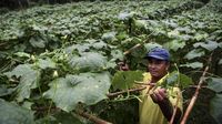 Beginilah Potret Kemandirian Warga Cegah Karhutla