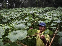 Beginilah Potret Kemandirian Warga Cegah Karhutla