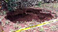 Begini Penampakan Lubang yang Kembali Muncul di Gunungkidul
